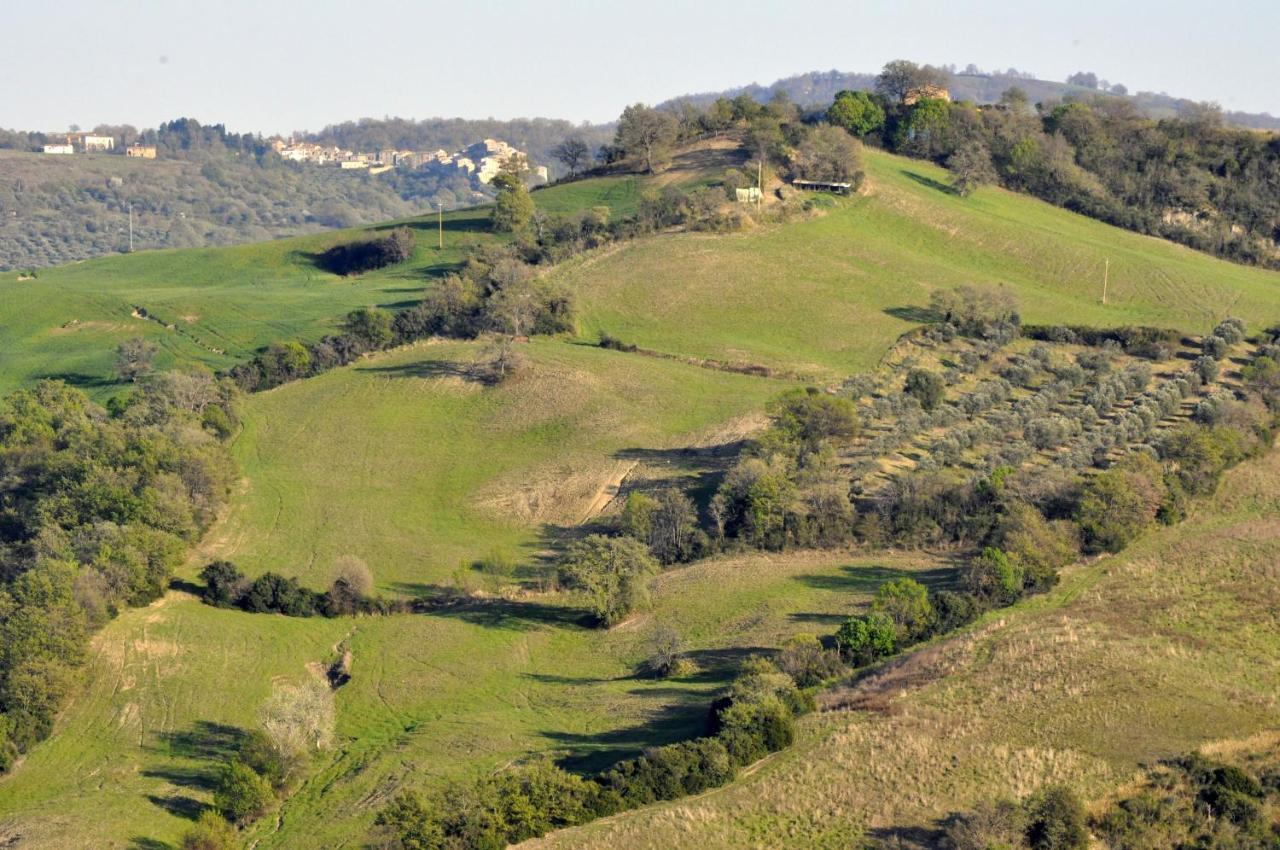 La Colombera In Toscana Roccalbegna Εξωτερικό φωτογραφία
