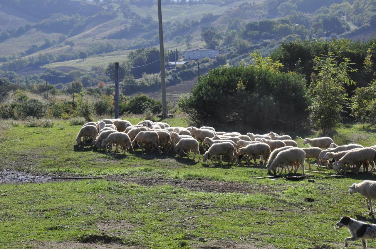 La Colombera In Toscana Roccalbegna Εξωτερικό φωτογραφία