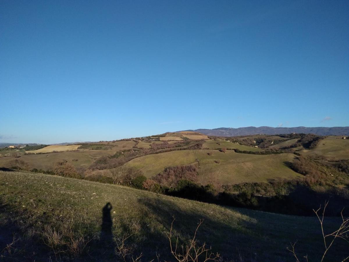 La Colombera In Toscana Roccalbegna Εξωτερικό φωτογραφία