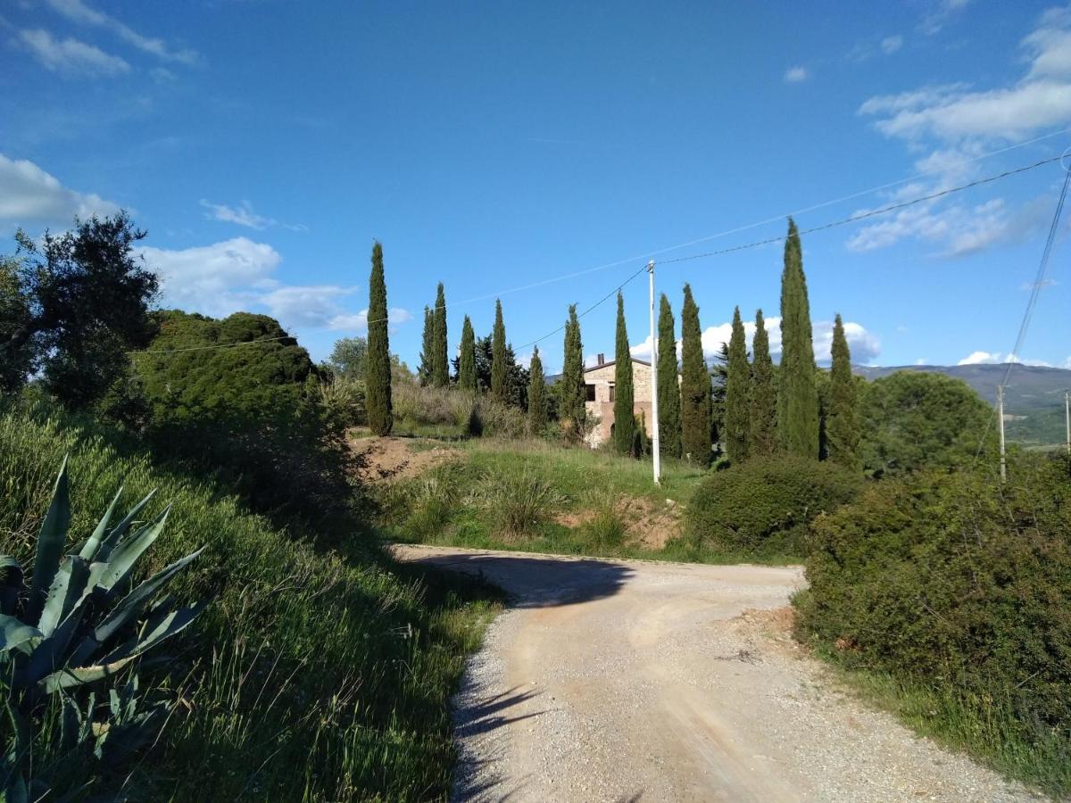 La Colombera In Toscana Roccalbegna Εξωτερικό φωτογραφία
