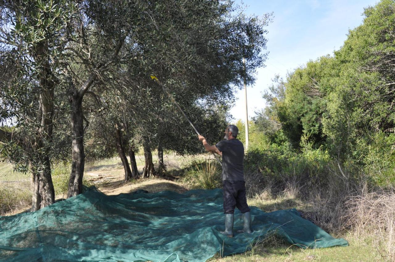 La Colombera In Toscana Roccalbegna Εξωτερικό φωτογραφία
